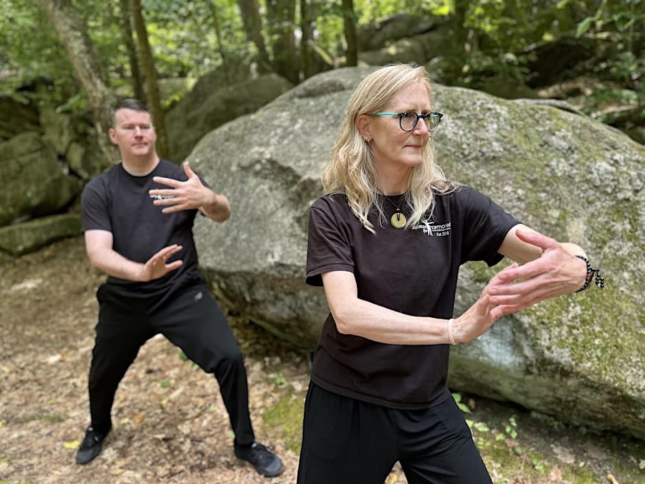Free Tai Chi Lesson (West Roxbury)