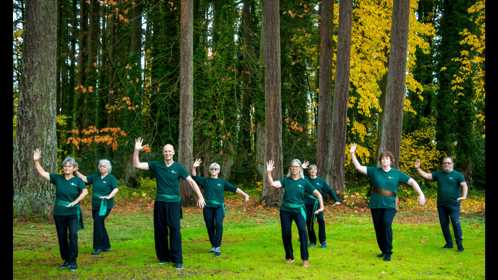 World Tai Chi Day – Free Class