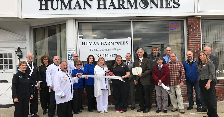 Human Harmonies Chelmsford